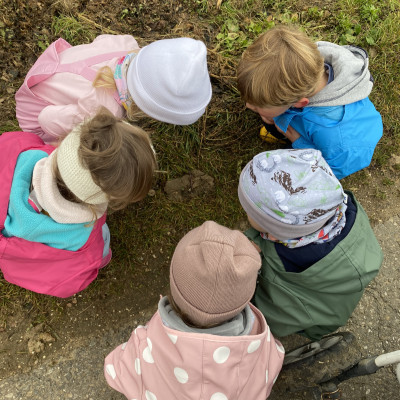 wir beobachten einen Regenwurm